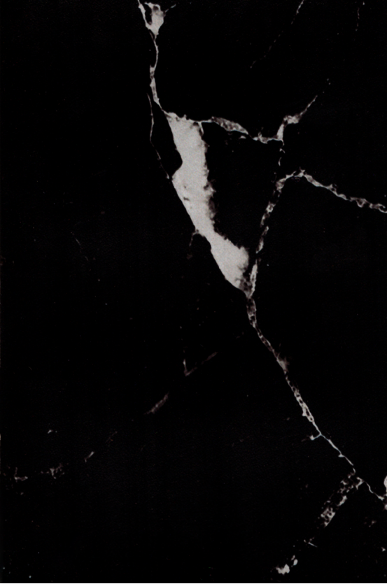 BT013-Napoleon-Black-Stone